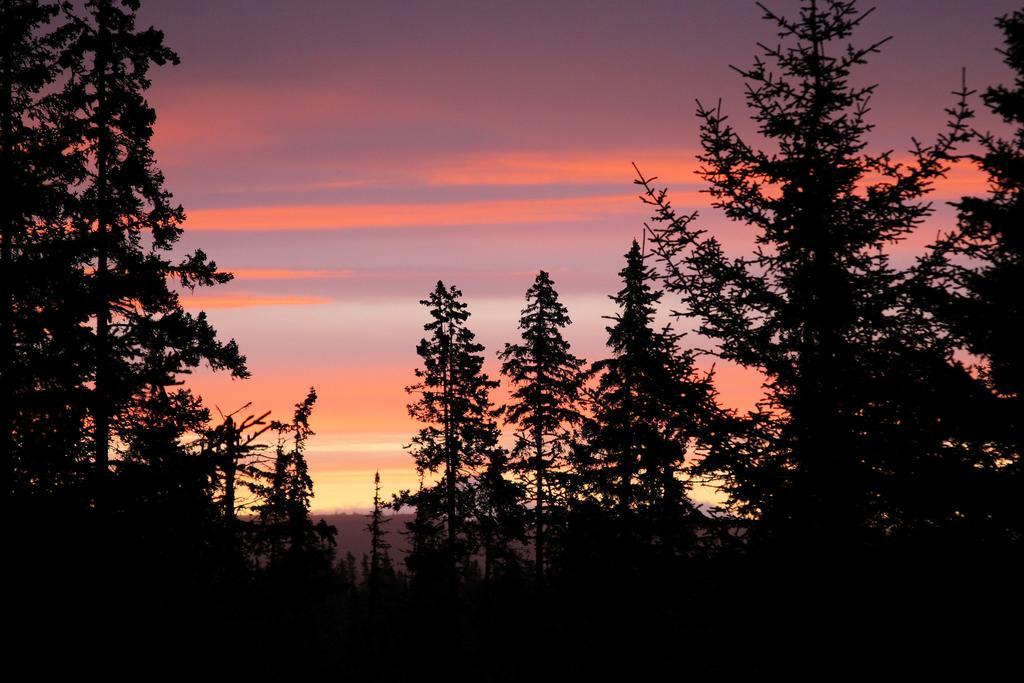 Anchor Point Captain Cook Lodge Екстериор снимка